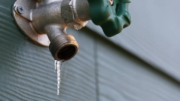 Best Water Heater Repair  in Dryden, MI